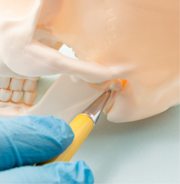 Gnatologia | Servizi | Studio Dentistico Banzi a Pieve di Cento (BO)